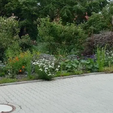 Artenschutz-im-garten-und-balkon-melle-ostwestfalen Artenschutz