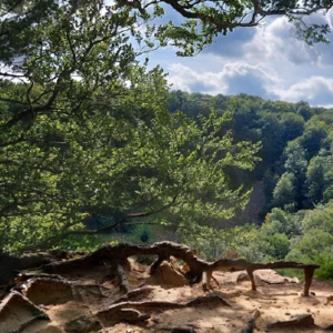 Meditationen transformative Techniken indigene Weisheitsparktiken