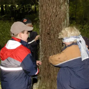 Waldtage im Jahresverlauf für Schulen