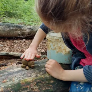 Wildnis pädagogische Waldwochen Ferienspiele