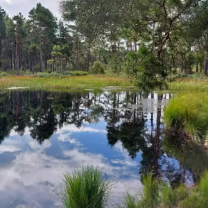 Indigene Weisheit und Achtsamkeit in der Natur