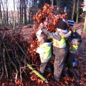Wald voll Abenteuer Projekt Angebote für Kindergarten und Schule