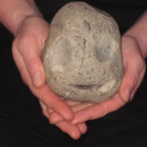 Stärkung der Resilienz durch Achtsamkeit und Aufenthalt in der Natur