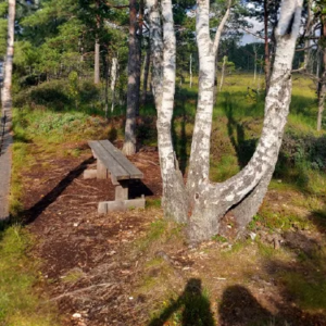 Naturcoaching Achtsamkeit Coaching Melle Ostwestfalen