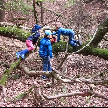 Wald voll A Waldabenteuer einmal pro Monat
