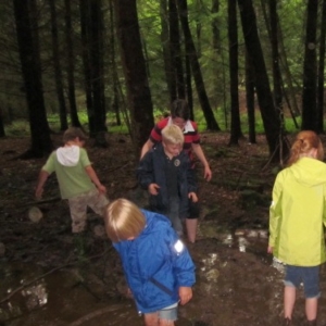 Waldboden barfuß entdecken