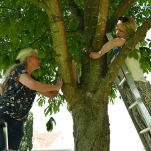 Artenschutz Melle - Anregungen zum selbermachen