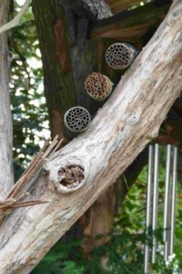 Nistroehren-aus-Schilf-Hartpappe