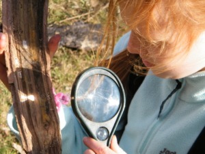 Mit der Lupe in der Natur unterwegs